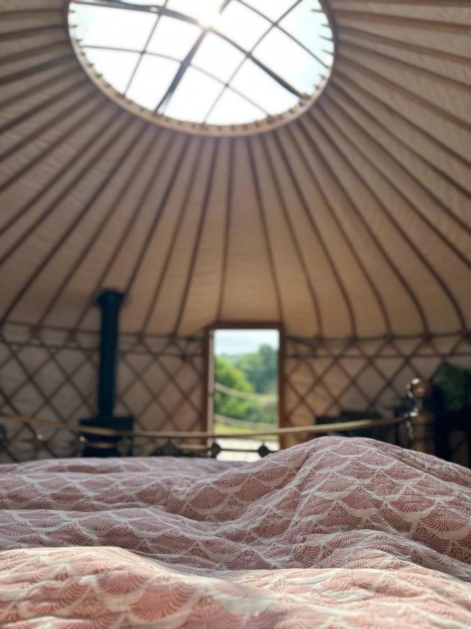 Bracken Yurt At Walnut Farm Glamping Hotel Netherbury Exterior foto
