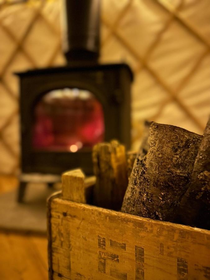 Bracken Yurt At Walnut Farm Glamping Hotel Netherbury Exterior foto